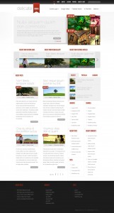 delicate news is a premium wordpress magazine theme