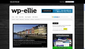 wp-ellie is a premium wordpress magazine theme